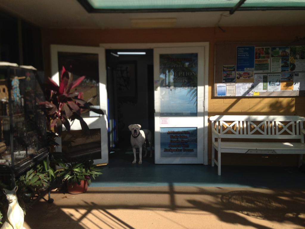 Carnarvon Caravan Park Exterior photo